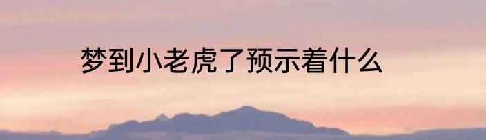 梦到小老虎了预示着什么