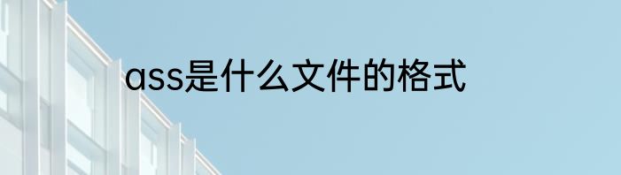 ass是什么文件的格式