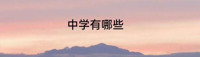 中学有哪些