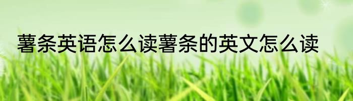 薯条英语怎么读薯条的英文怎么读