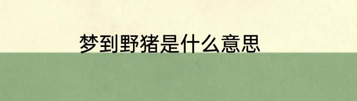 梦到野猪是什么意思