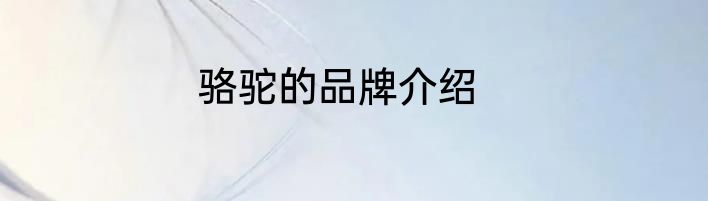 骆驼的品牌介绍