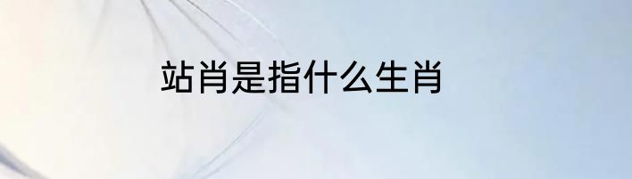 站肖是指什么生肖