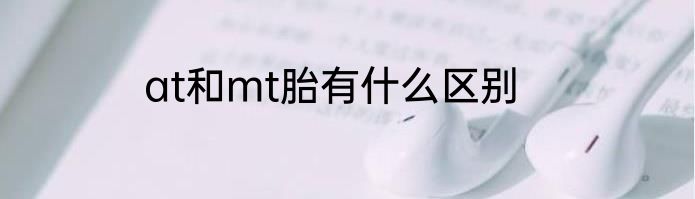 at和mt胎有什么区别
