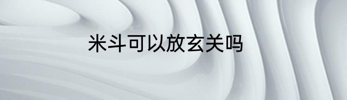 米斗可以放玄关吗