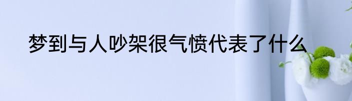 梦到与人吵架很气愤代表了什么