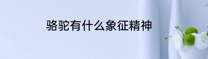 骆驼有什么象征精神