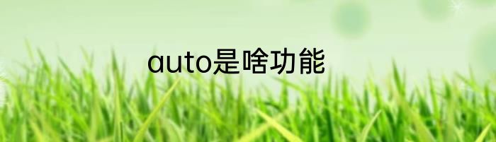 auto是啥功能