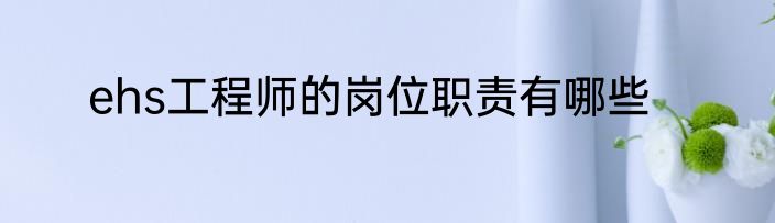 ehs工程师的岗位职责有哪些