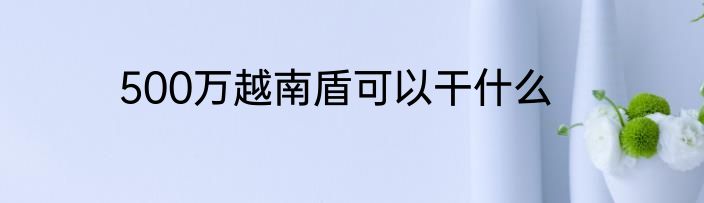 500万越南盾可以干什么