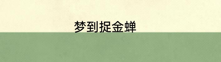 梦到捉金蝉