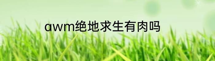 awm绝地求生有肉吗