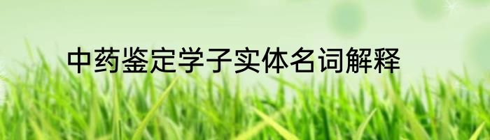 中药鉴定学子实体名词解释