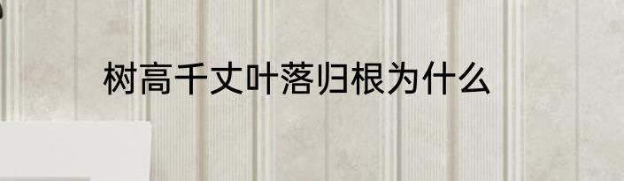 树高千丈叶落归根为什么