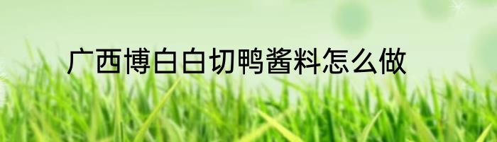 广西博白白切鸭酱料怎么做