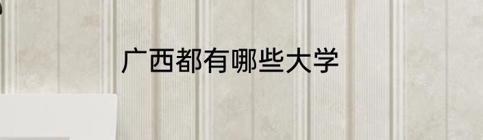 广西都有哪些大学