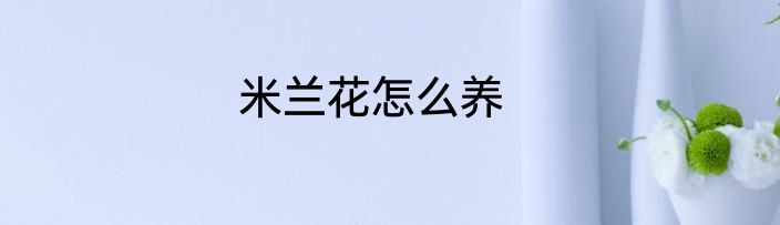 米兰花怎么养