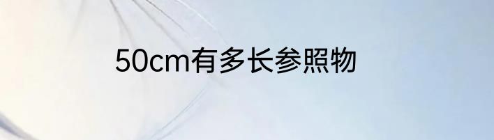 50cm有多长参照物