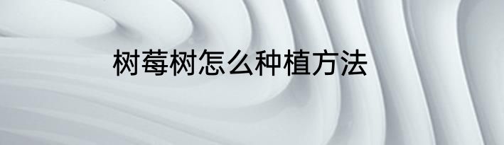 树莓树怎么种植方法