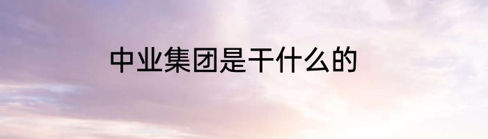 中业集团是干什么的