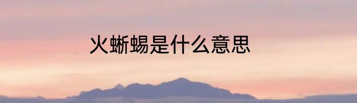 火蜥蜴是什么意思