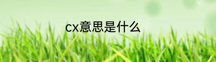 cx意思是什么