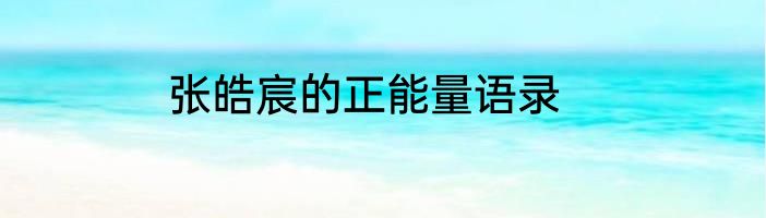 张皓宸的正能量语录