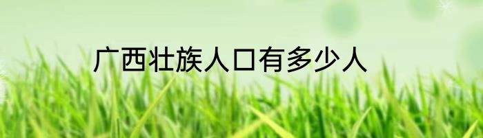 广西壮族人口有多少人