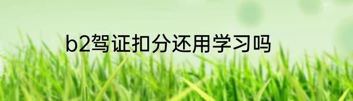 b2驾证扣分还用学习吗