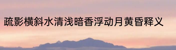 疏影横斜水清浅暗香浮动月黄昏释义