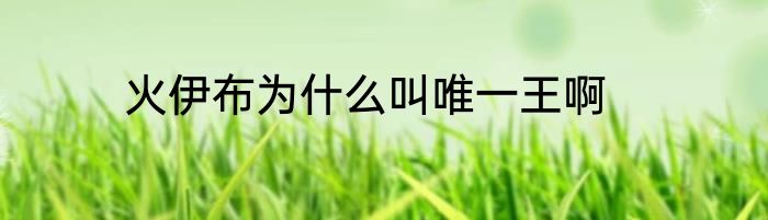 火伊布为什么叫唯一王啊