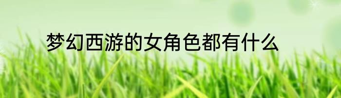 梦幻西游的女角色都有什么