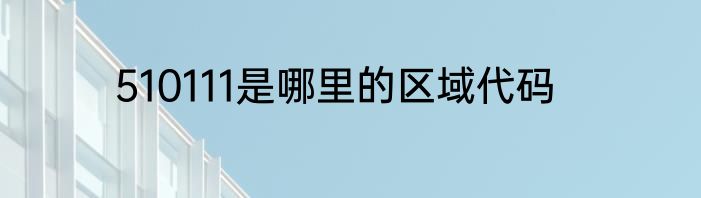 510111是哪里的区域代码