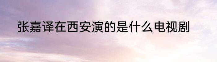 张嘉译在西安演的是什么电视剧