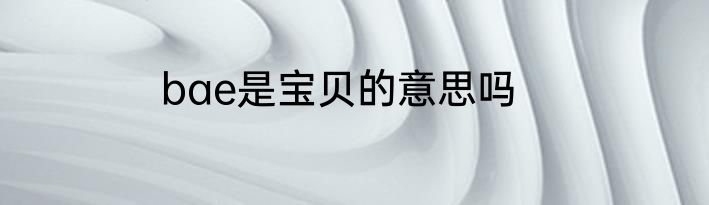 bae是宝贝的意思吗