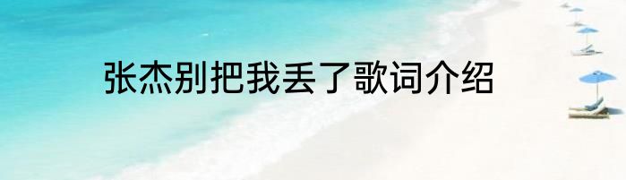 张杰别把我丢了歌词介绍