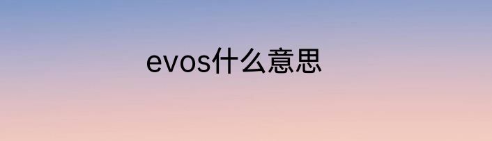 evos什么意思