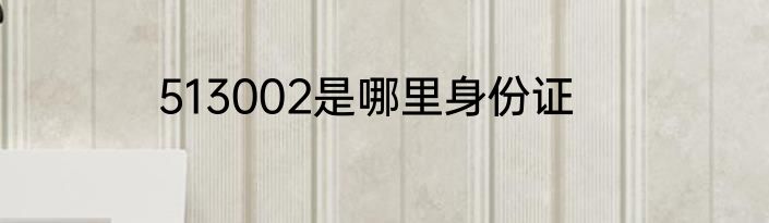513002是哪里身份证