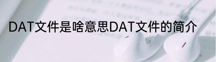 DAT文件是啥意思DAT文件的简介