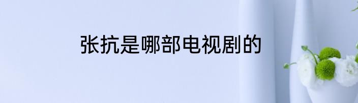 张抗是哪部电视剧的
