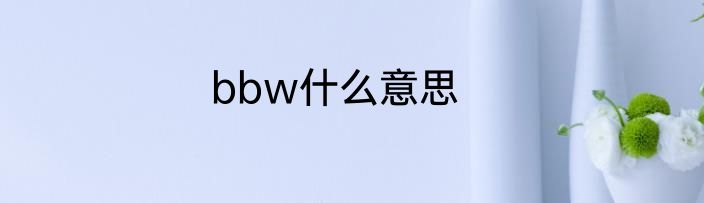 bbw什么意思