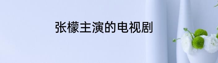 张檬主演的电视剧