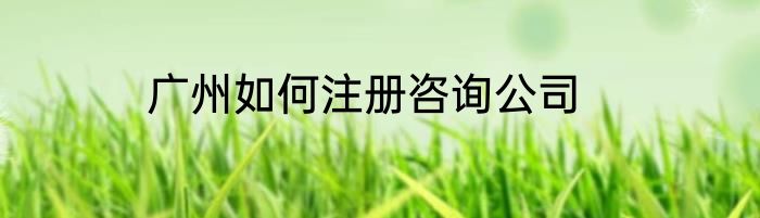 广州如何注册咨询公司