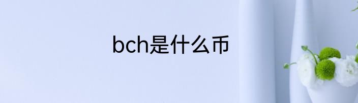 bch是什么币