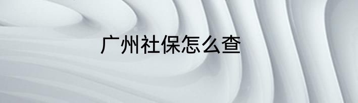 广州社保怎么查