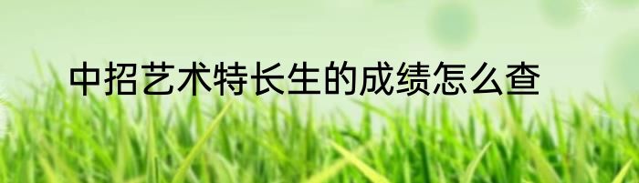 中招艺术特长生的成绩怎么查