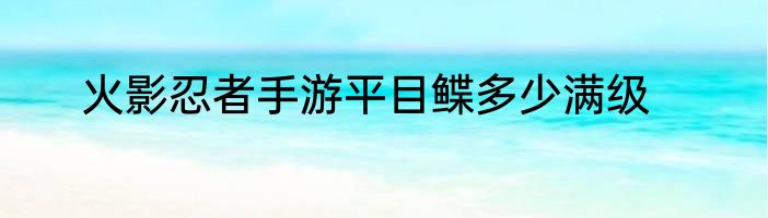 火影忍者手游平目鲽多少满级