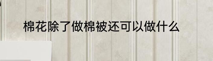 棉花除了做棉被还可以做什么