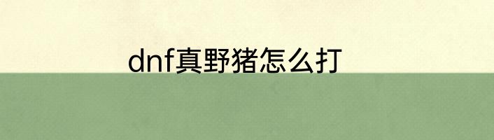 dnf真野猪怎么打