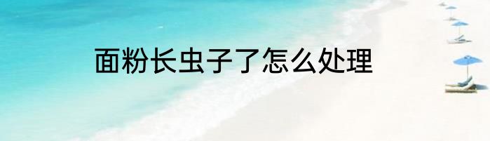 面粉长虫子了怎么处理